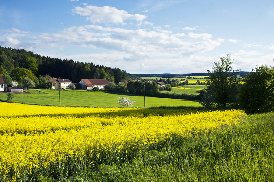 Spring in Germany