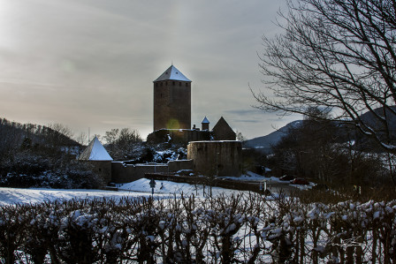 "Kusel Castle Under Snow" | Week 8 of 52