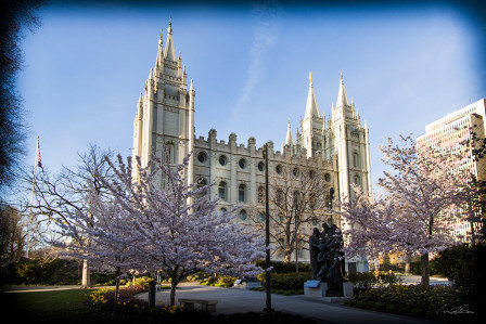 Temple in Spring