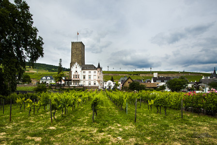 Boosenburg Castle with its Vineyard